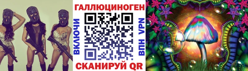 Галлюциногенные грибы GOLDEN TEACHER  Купить где  Камышлов 